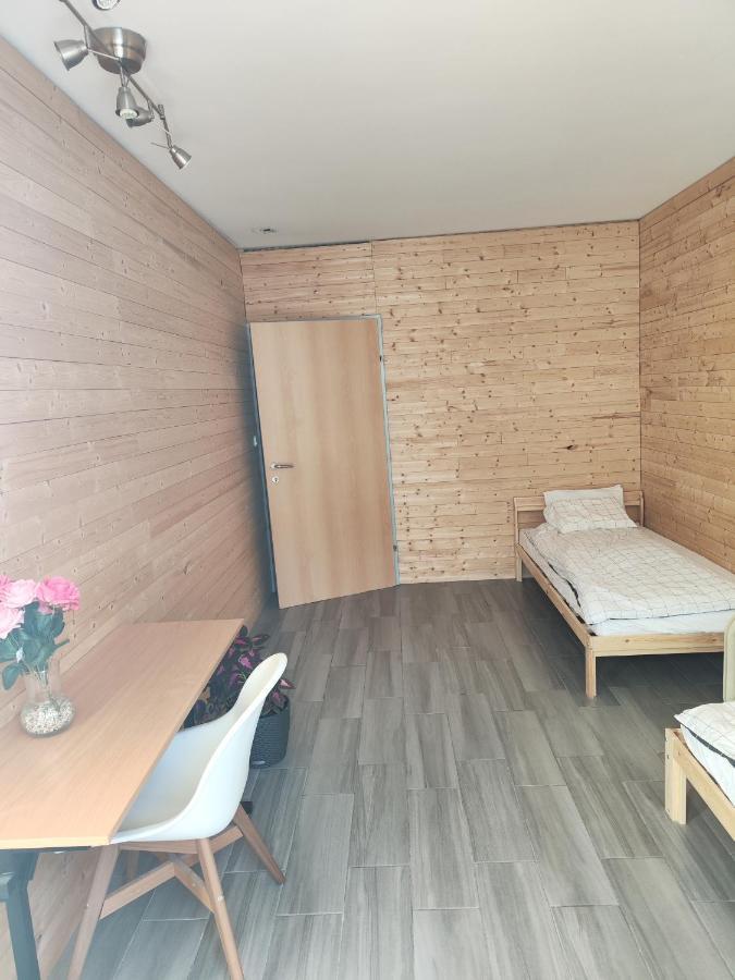 Erdgeschoss Wohnung Nahe Flughafen ウィーン エクステリア 写真